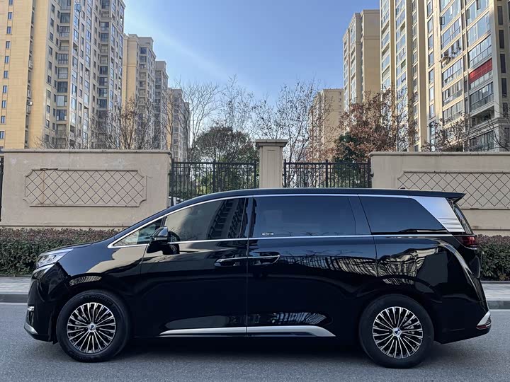 Фото 4 - Denza D9