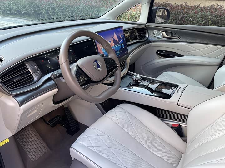 Фото 8 - Denza D9