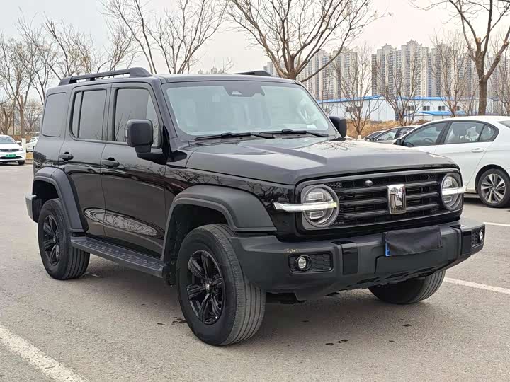 Фото 2 - Tank 300