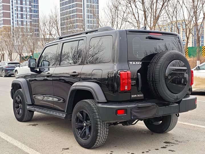 Фото 4 - Tank 300