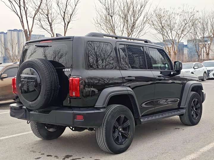 Фото 7 - Tank 300