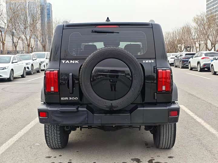 Фото 9 - Tank 300