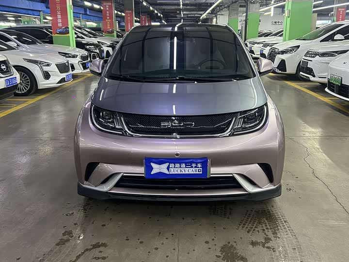 Фото 2 - BYD Dolphin