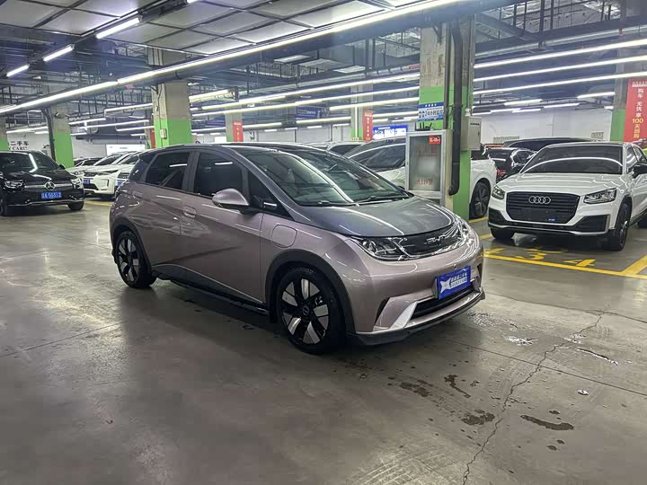 Фото 3 - BYD Dolphin