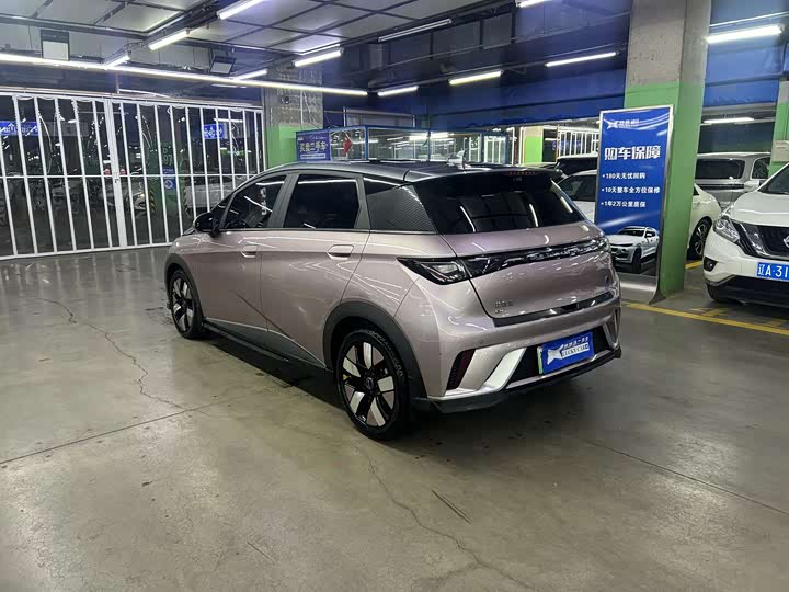 Фото 4 - BYD Dolphin