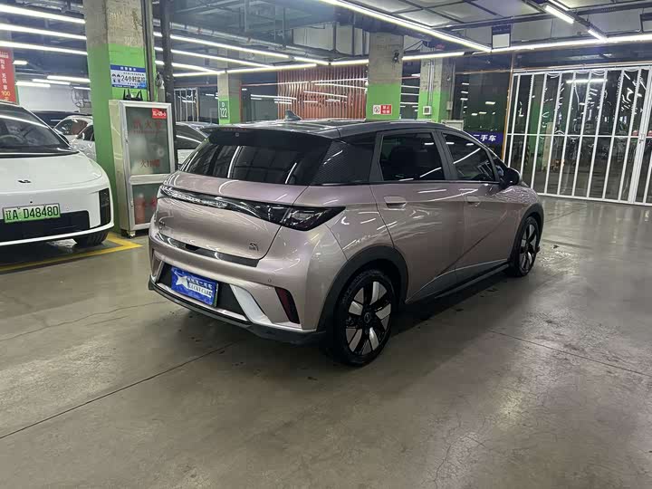 Фото 6 - BYD Dolphin