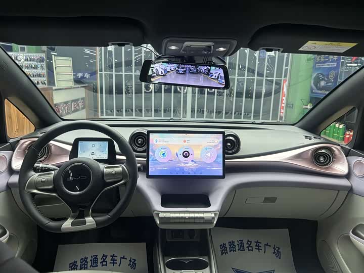 Фото 7 - BYD Dolphin