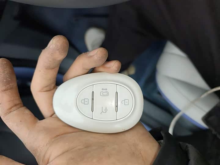 Фото 9 - BAIC Arcfox Kaola