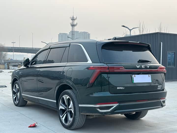 Фото 4 - Wey Lanshan