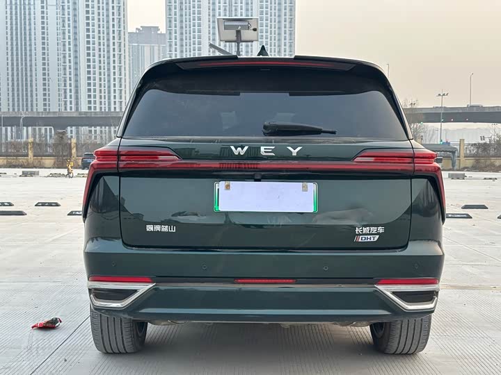 Фото 5 - Wey Lanshan