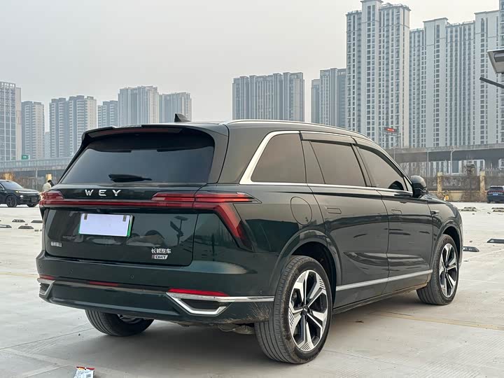 Фото 6 - Wey Lanshan