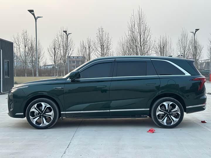 Фото 7 - Wey Lanshan