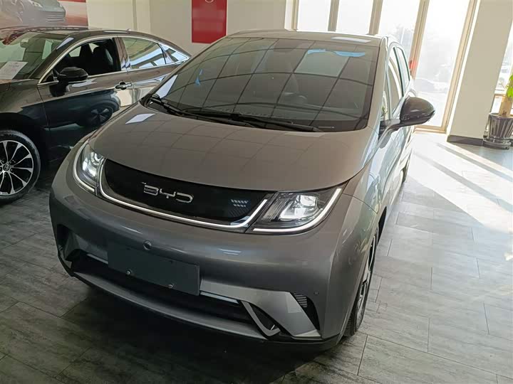 Фото 2 - BYD Dolphin