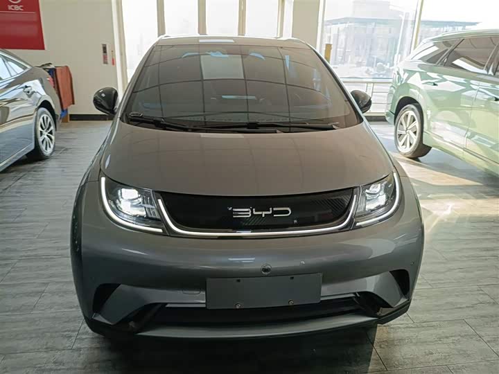 Фото 3 - BYD Dolphin