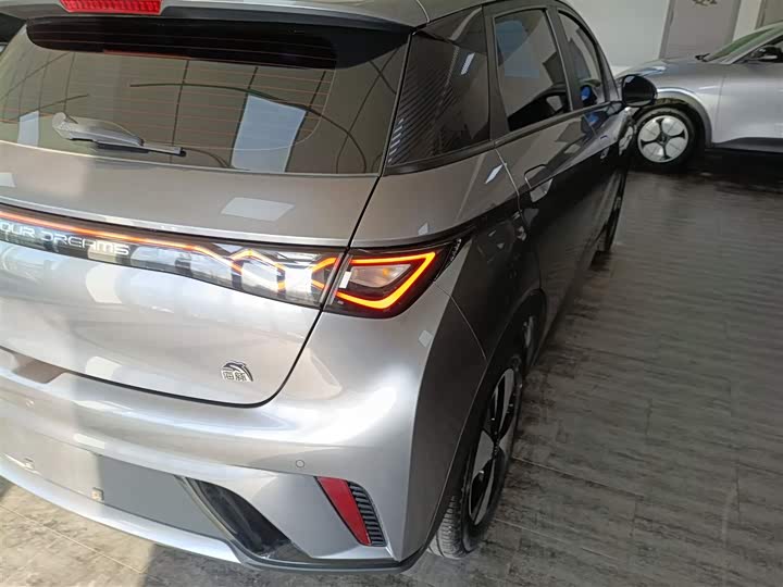 Фото 8 - BYD Dolphin