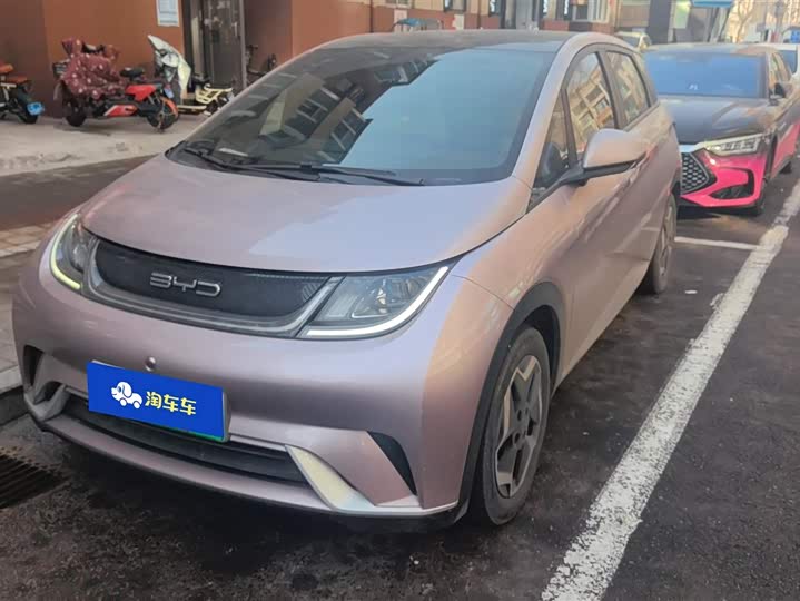 Фото 1 - BYD Dolphin