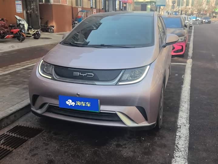 Фото 2 - BYD Dolphin