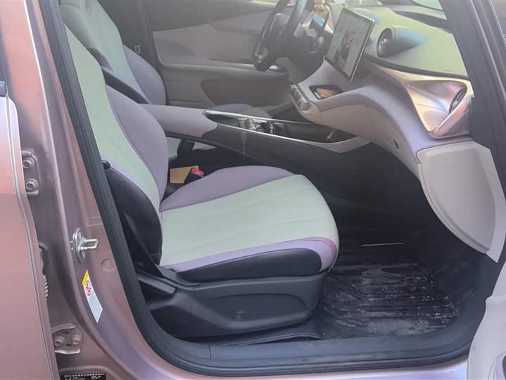 Фото 8 - BYD Dolphin