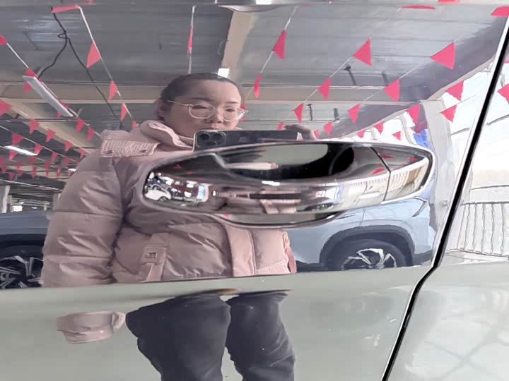 Фото 7 - Volkswagen Teramont Pro