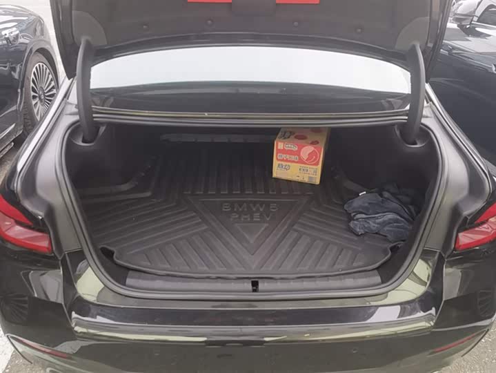 Фото 4 - BMW 5 Series Hybrid