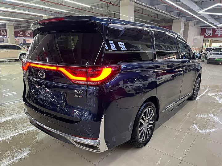 Фото 6 - GAC Trumpchi M8