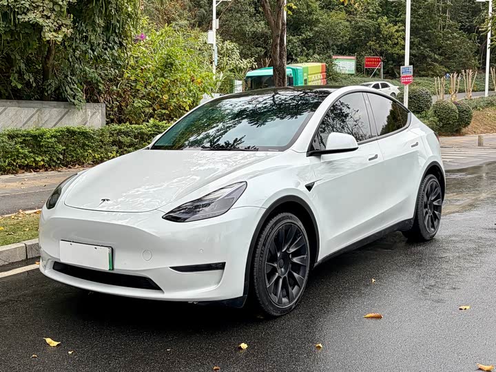 Фото 1 - Tesla Model Y