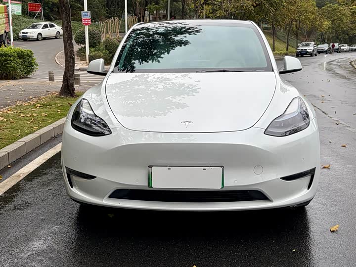 Фото 2 - Tesla Model Y