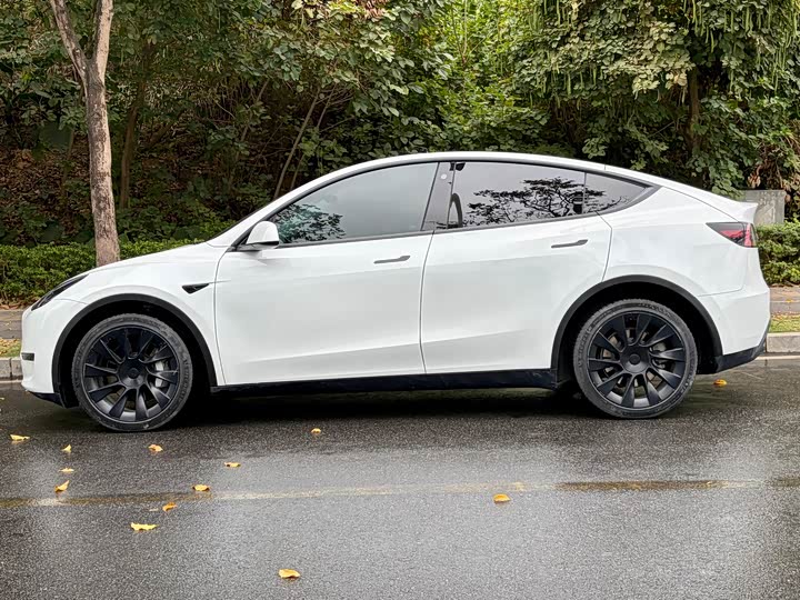 Фото 6 - Tesla Model Y