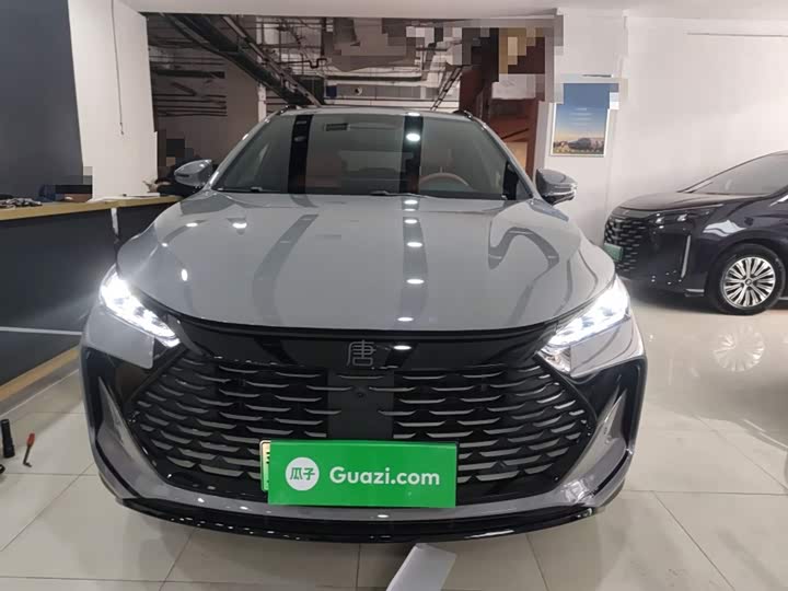 Фото 3 - BYD Tang Hybrid/EV