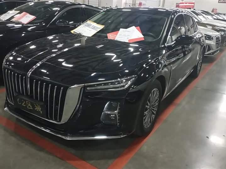 Фото 1 - Hongqi H5