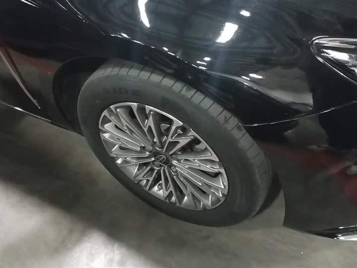 Фото 6 - Hongqi H5