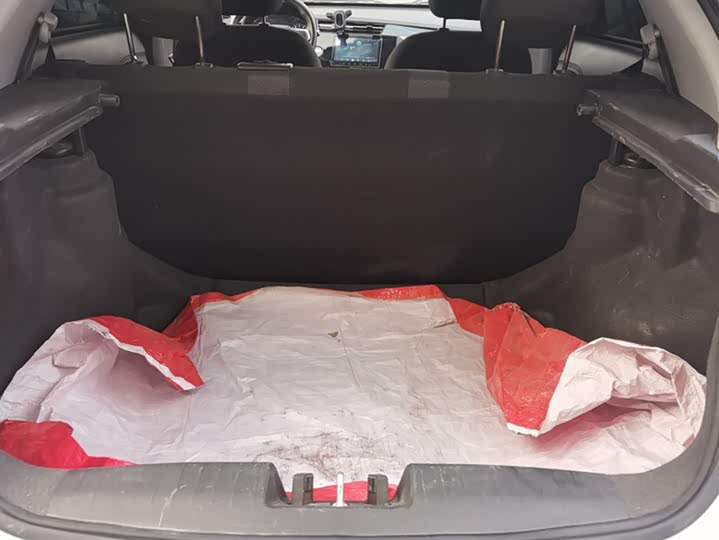 Фото 4 - Chery Tiggo 3x