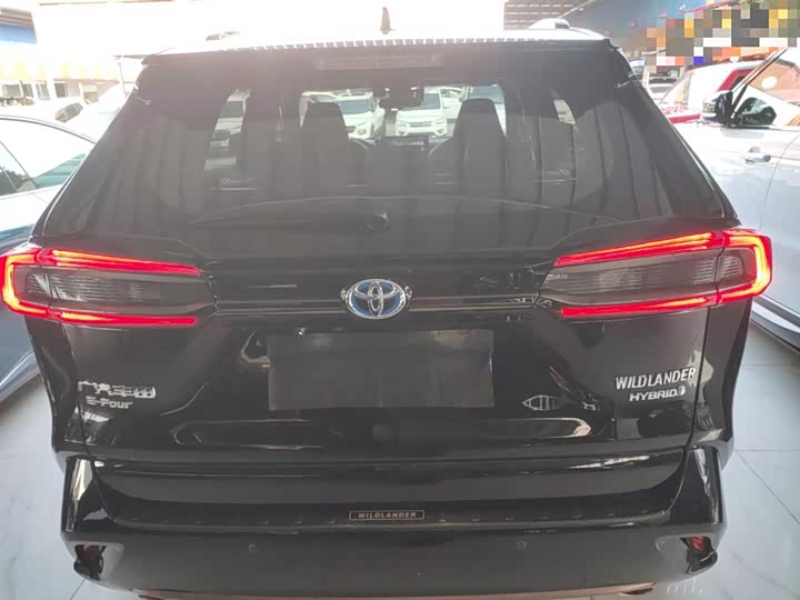 Фото 6 - Toyota Wildlander