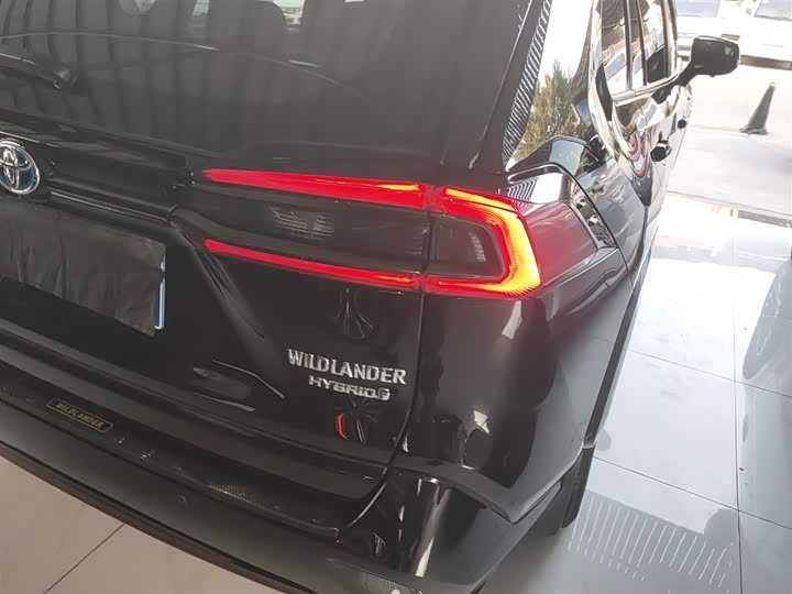 Фото 8 - Toyota Wildlander