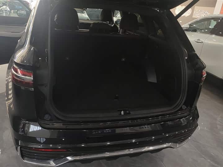 Фото 4 - Geely Monjaro