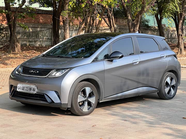 Фото 1 - BYD Dolphin