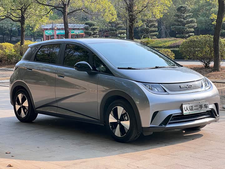 Фото 3 - BYD Dolphin