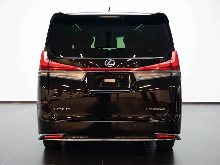 Фото 3 - Lexus LM