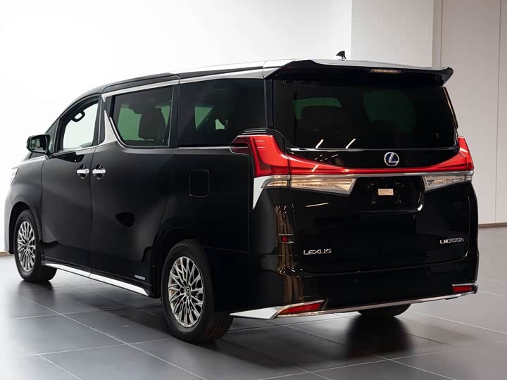 Фото 4 - Lexus LM