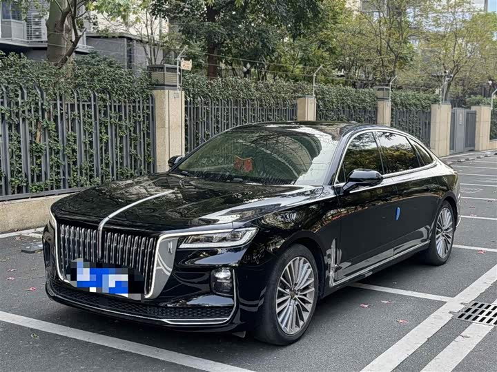 Фото 1 - Hongqi H9