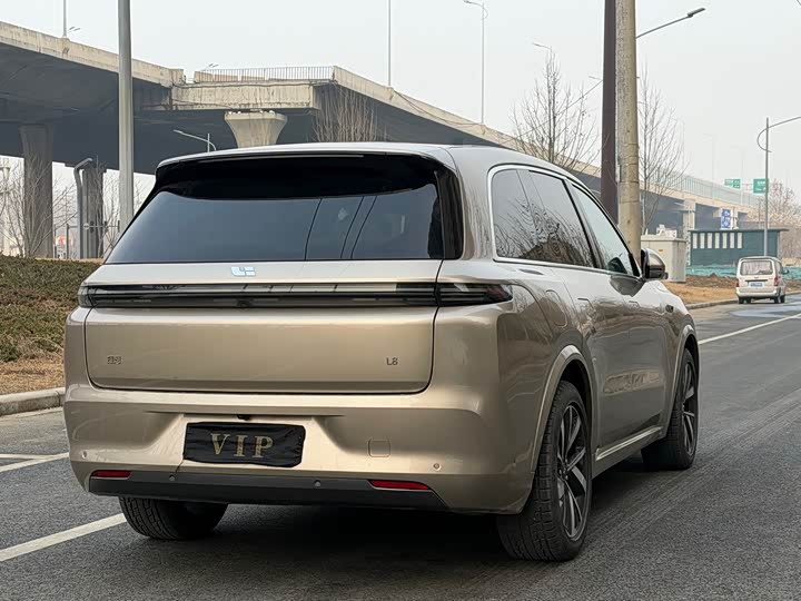 Фото 9 - LiXiang L8