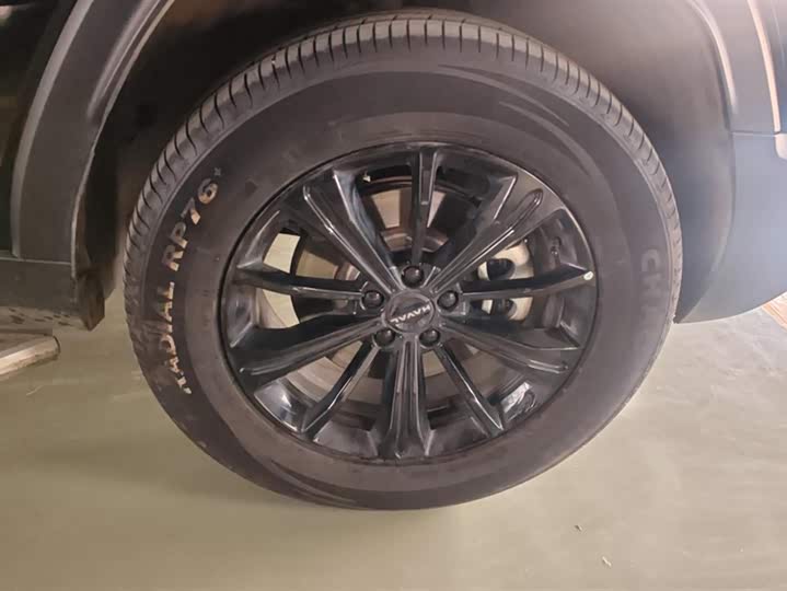 Фото 6 - Haval Raptor Hybrid