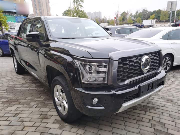 Фото 4 - Great Wall King Kong Poer