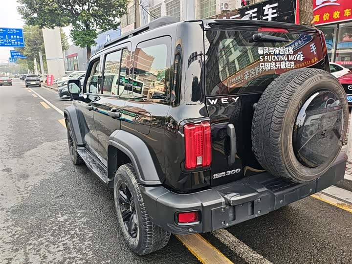 Фото 5 - Tank 300