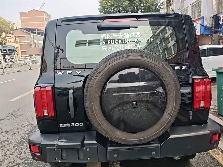 Фото 6 - Tank 300