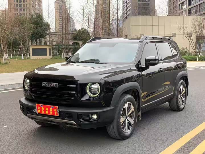 Фото 1 - Haval Dargo