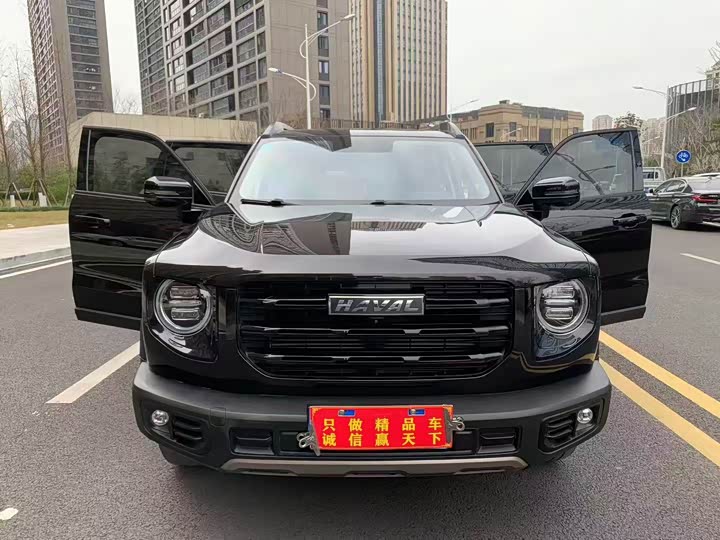 Фото 2 - Haval Dargo