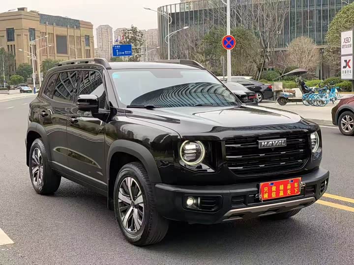 Фото 3 - Haval Dargo