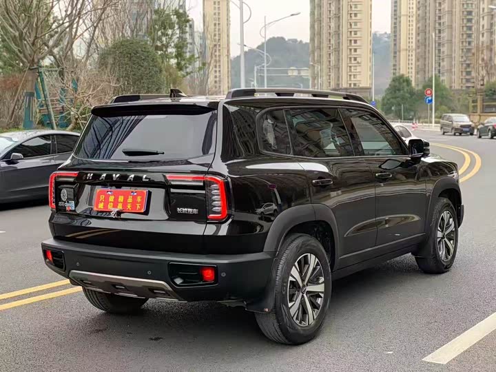 Фото 7 - Haval Dargo