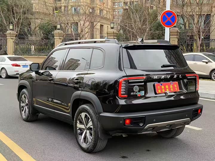 Фото 8 - Haval Dargo